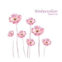 Pink watercolor Rose flower vector