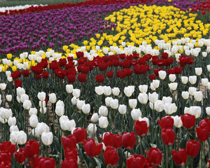 포토시리즈(아시아여행)