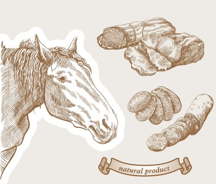 Horse and natural horse meat products