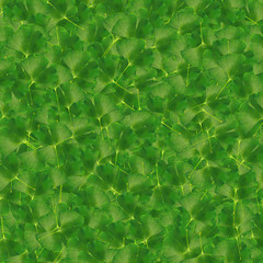 패턴 백그라운드