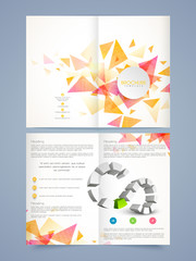 Abstract business brochure or flyer presentation.
