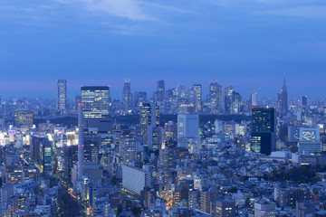 Obraz premium 東京都市風景 渋谷と新宿高層ビル群を望む トワイライト