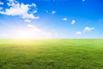 Obraz na płótnie Canvas Grassland under the blue sky