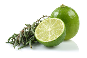 Fresh Samphire and Lime Group