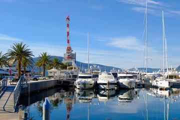 Yachts and palms in the porto Montenegro