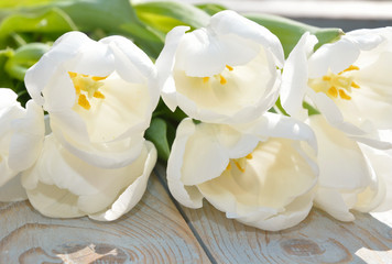 White tulips on a old wooden background with sunlight effect