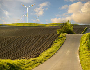 wiatraki na wiosennym polu © Mike Mareen