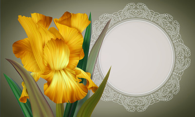 Fantasy Yellow Iris on colorful backdrop with lace vintage frame