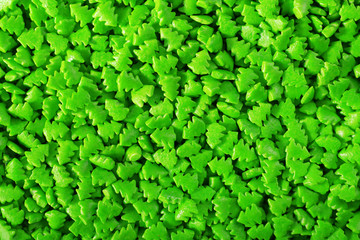 Colorful sprinkles background