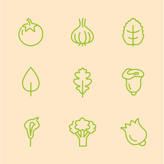 Flat Line Vegetables Icons Vector Illustration