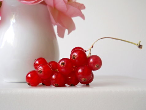 Red currant. Cluster of healthy fruit.