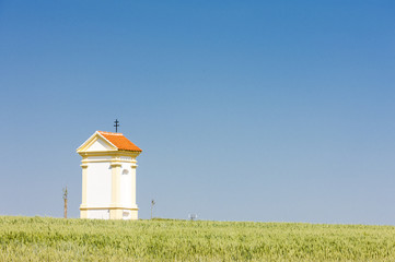 God's torture with grain, Southern Moravia, Czech Republic