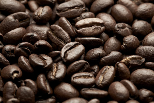 coffee beans closeup image