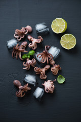 Baby octopuses with lime and ice cubes over black wooden surface