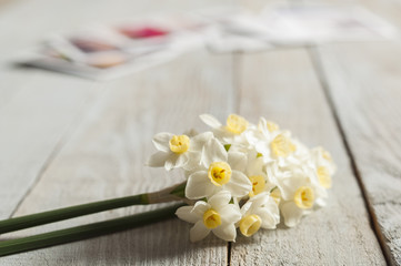 Bunch of white narcissus and printed photos on a wooden table