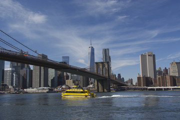 Brooklyn bridge