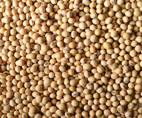 Soy beans background