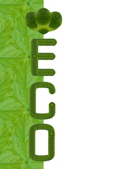 Ecology icon set.(Idea for leaf create)