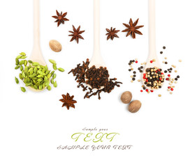 Variety of spices in wooden spoons