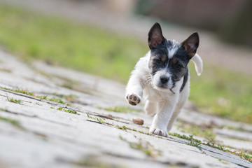 Passeggiata