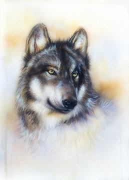 Wolf, wild animal painting , color background on paper