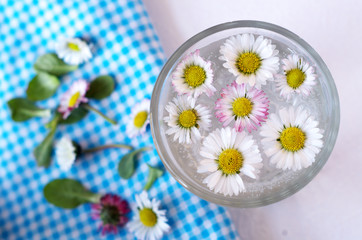 Skokrotki w szklance wody © babkazielna