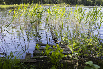 Abandoned sunken landing stage