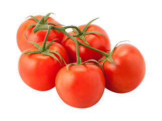 Tomatoes on the Vine