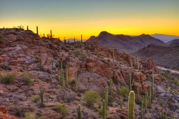 Zelfklevend Fotobehang sunrise in the sonoran desert © Wollwerth Imagery