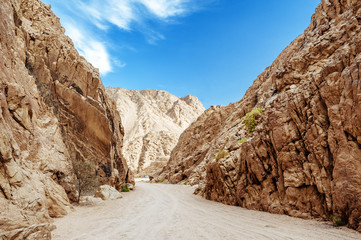 Fototapeta premium Canyon in Egypt. Egypt, the mountains of the Sinai desert