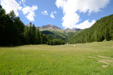 Fototapeta na wymiar paesaggio montagna