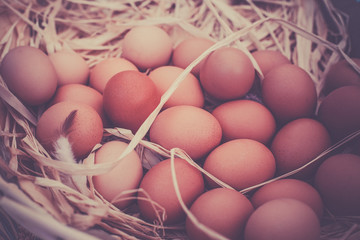 Basket of organic eggs in a rural farmers market