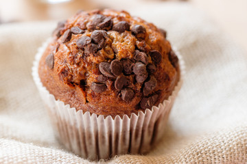 Homemade muffin with chocolate chips
