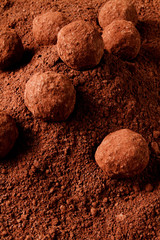 chocolate truffles