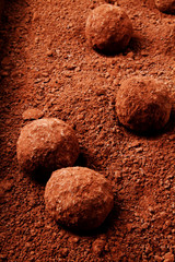 chocolate truffles