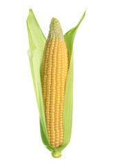 corn