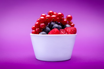 Assorted forest berries