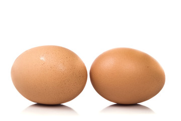 two brown fresh chicken eggs
