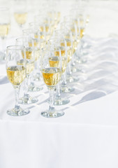 Row of champagne glasses