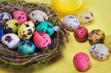 Colorful easter eggs in the nest