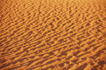 texture of sand in the desert from the winds