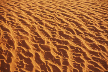 texture of sand in the desert from the winds