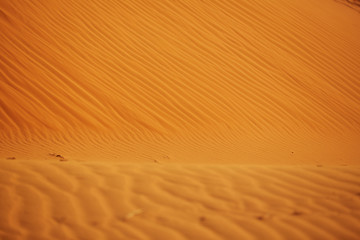 texture of sand in the desert from the winds
