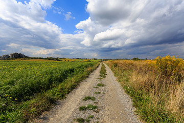 Rural road in summer landscape of Poland near Krakow
