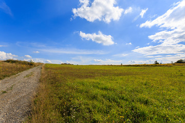 Fototapeta na wymiar Rural road in summer landscape of Poland near Krakow