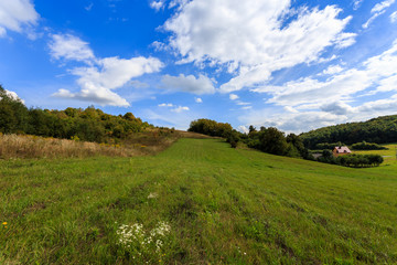 Fototapeta na wymiar Green farming field in summer landscape of Poland near Krakow