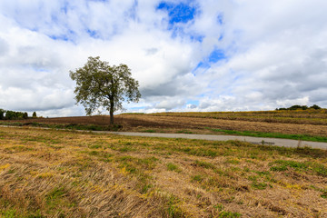 Fototapeta na wymiar Countryside landscape of Poland near Krakow city