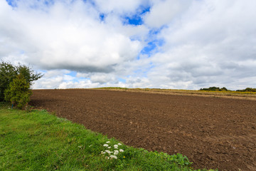 Fototapeta na wymiar Farming field in summer landscape of Poland near Krakow