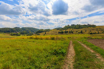 Fototapeta na wymiar Rural road in summer landscape of Poland near Krakow