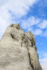Fototapeta premium Rock climber on limestone rock near Krakow, Poland